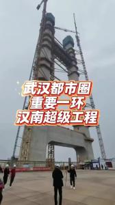 武汉都市圈重要一环汉南超级工程@老杨谈谈