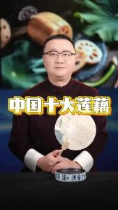 中国十大莲藕.-@好吃佬陈哥