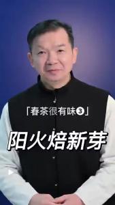 阳火焙新芽@林木先生的茶