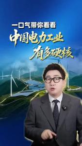 一口气带你看看中国电力工业有多硬核@阿喆观点