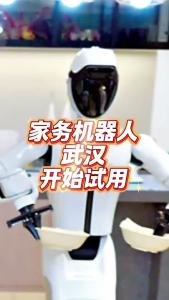 家务机器人，武汉开始试用@老杨谈谈