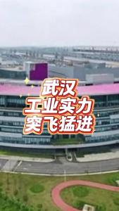 武汉工业实力突飞猛进@老杨谈谈