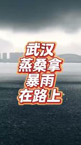 武汉蒸桑拿，暴雨在路上@老杨谈谈