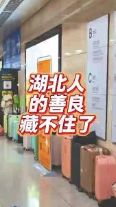 湖北人的善良藏不住了@老杨谈谈